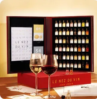 Un coffret d'arômes de dégustation avec deux verres de vin.