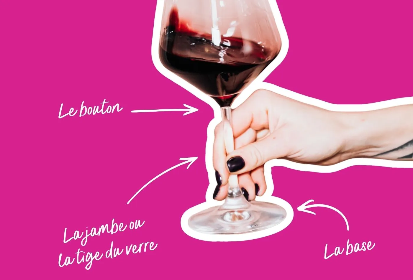 anatomie d'un verre de vin