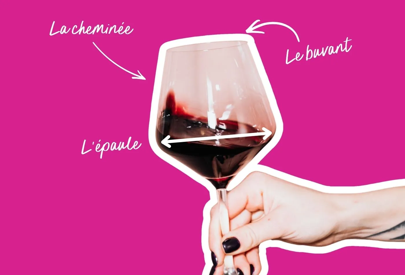 anatomie d'un verre de vin