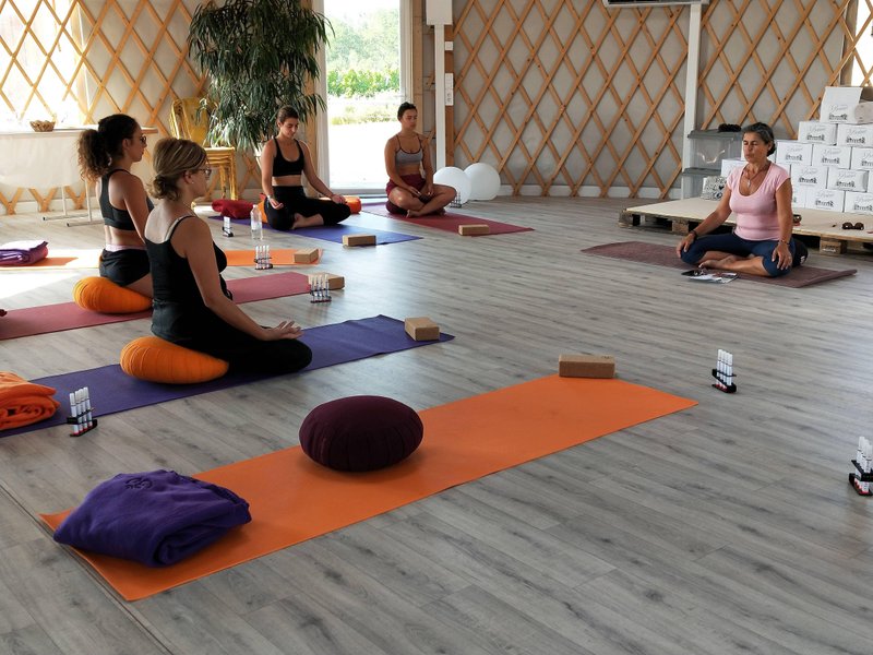 Yoga au milieu des vignes